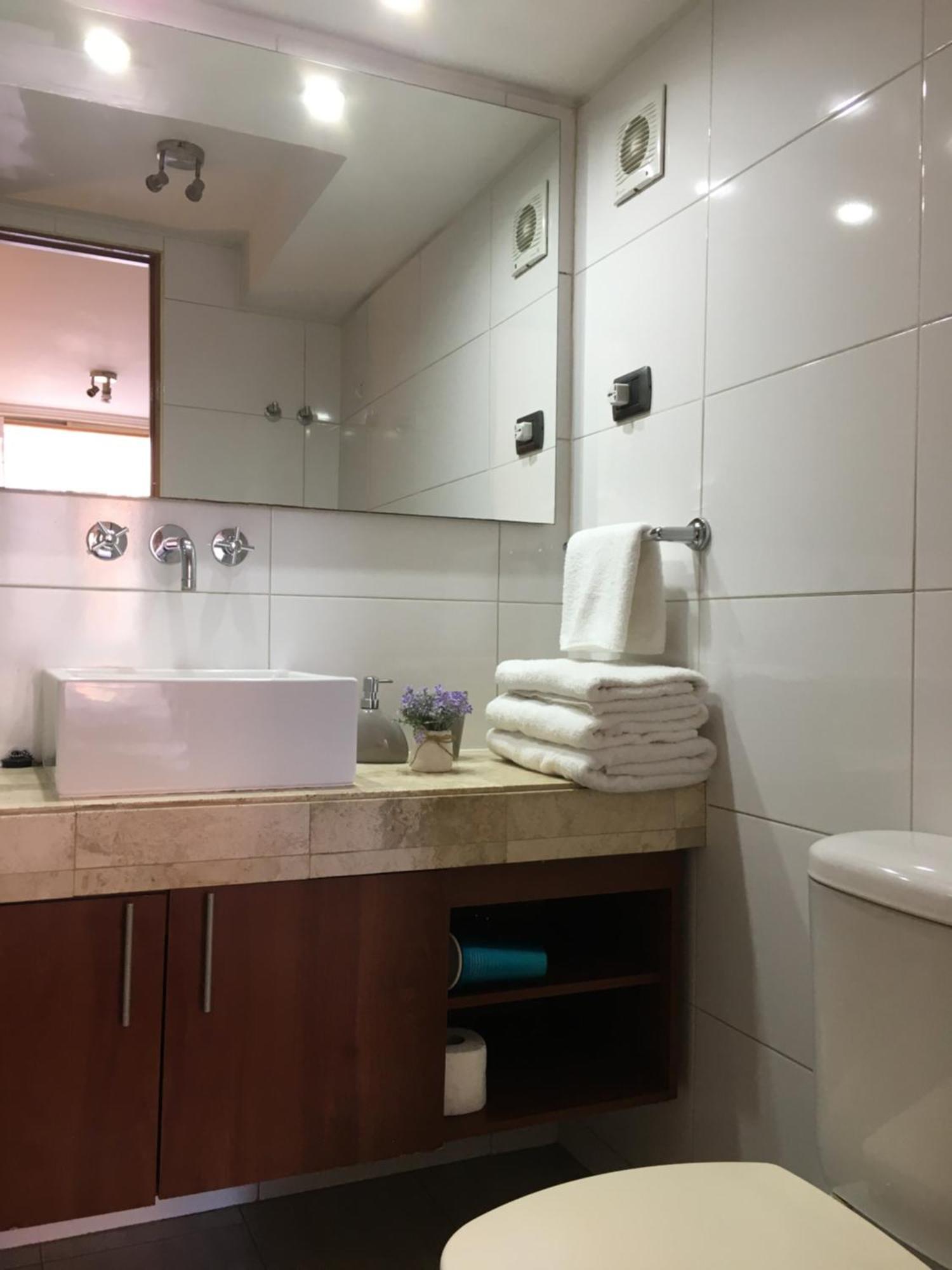 Departamento En El Corazon De Providencia Daire Santiago Dış mekan fotoğraf